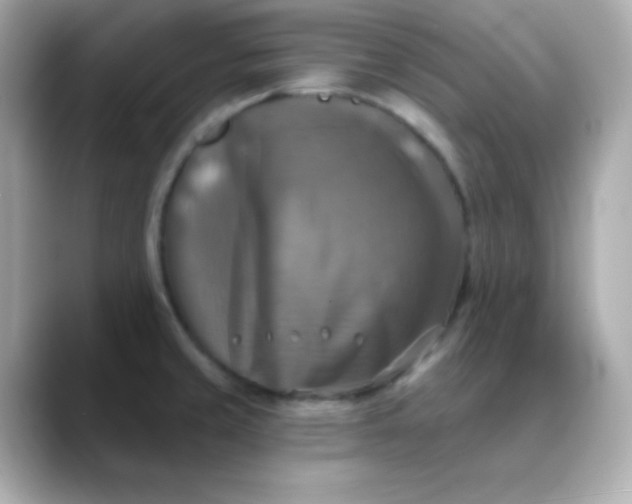 X0000088391429200706051109