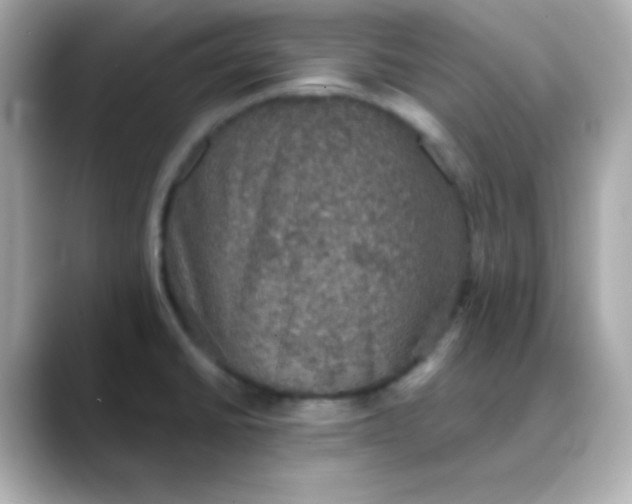 X0000088391430200706051109