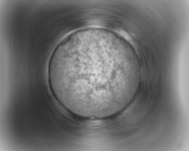 X0000088391431200706051109