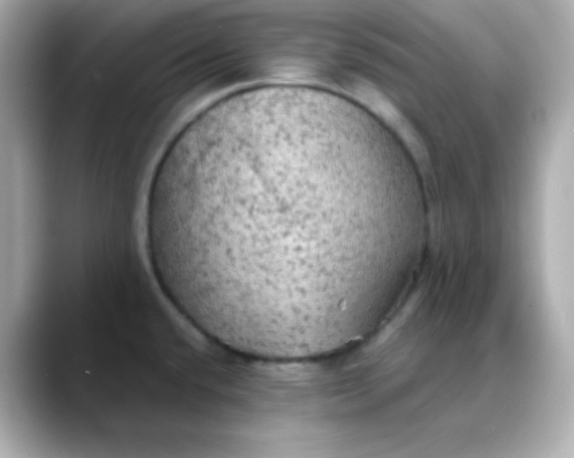 X0000088391432200706051109