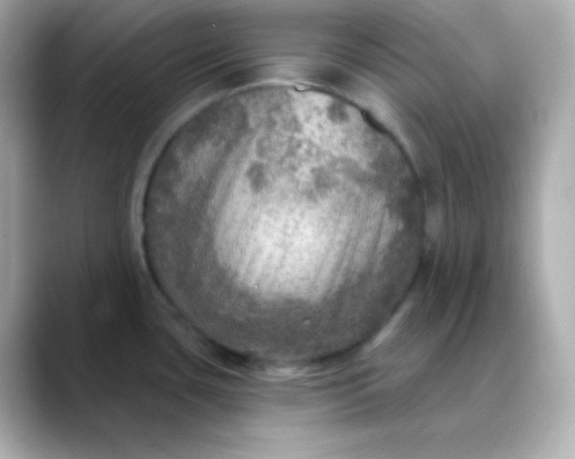 X0000088391435200706051109