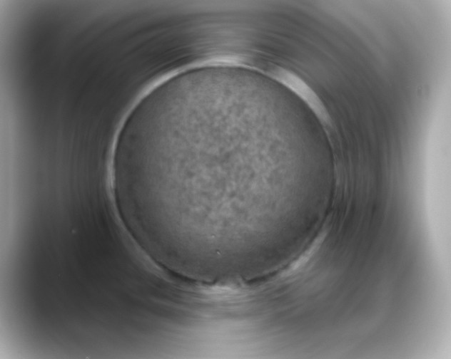 X0000088391436200706051109