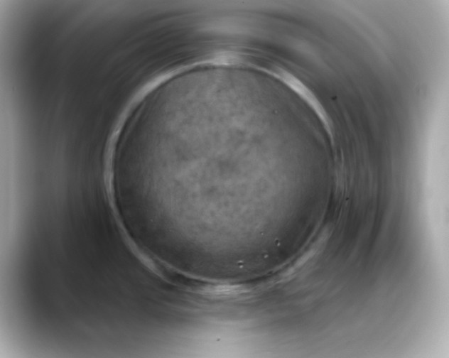 X0000088391437200706051109