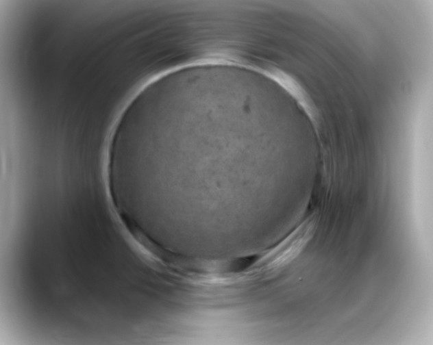 X0000088391438200706051109