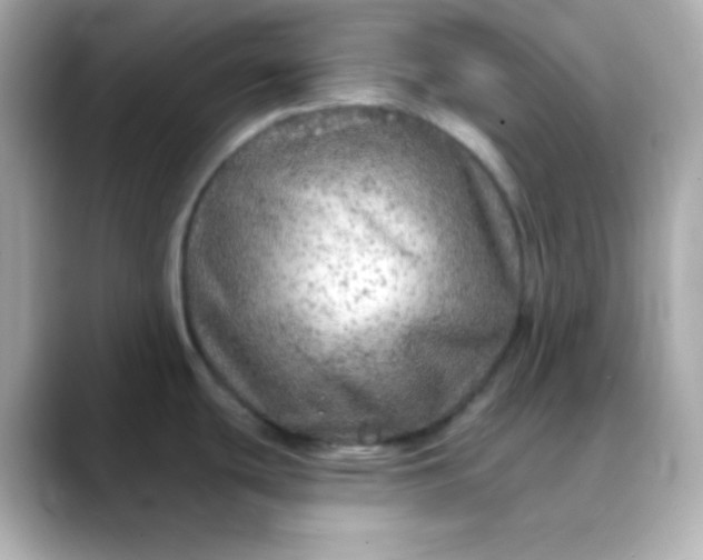 X0000088391439200706051109