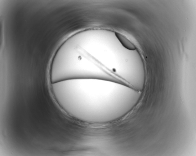 X0000088391440200706051109