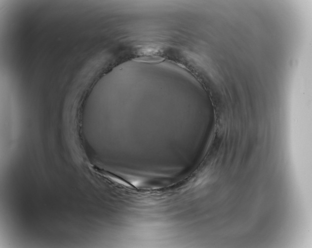 X0000088391441200706051109