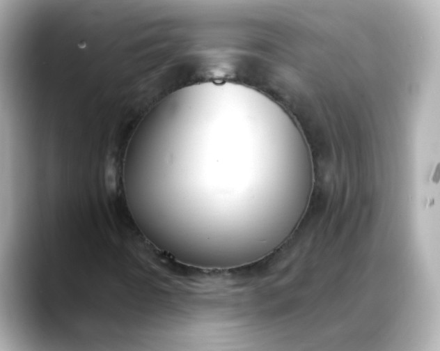 X0000088391442200706051109