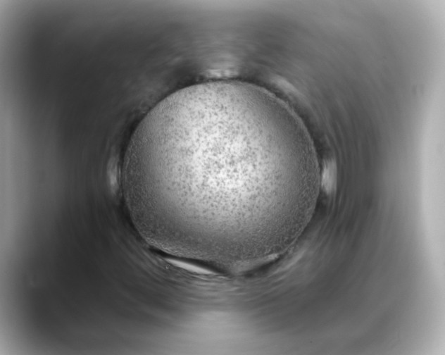 X0000088391444200706051109