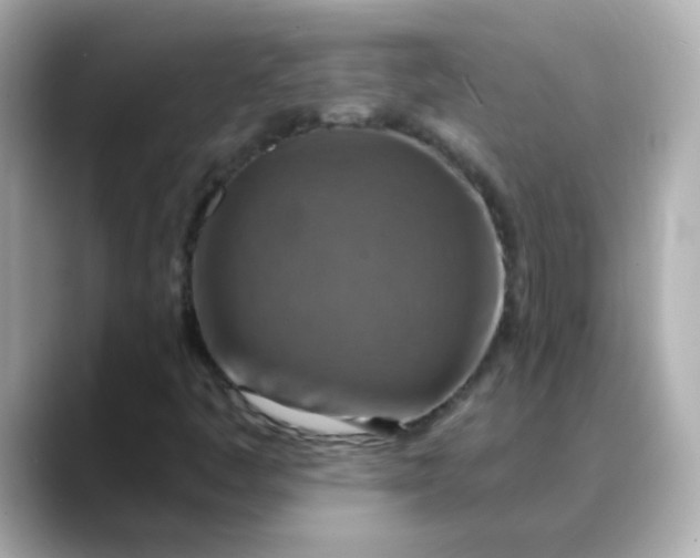 X0000088391445200706051109