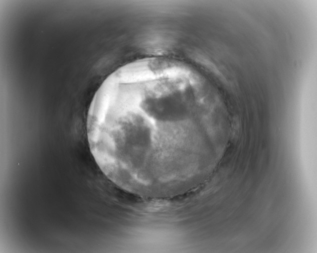 X0000088391446200706051109