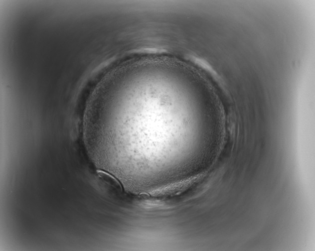 X0000088391448200706051109