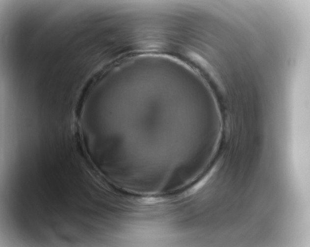 X0000088391449200706051109