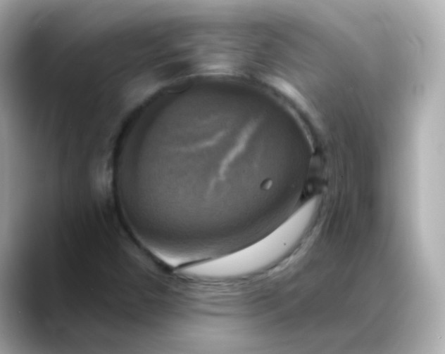 X0000088391450200706051109