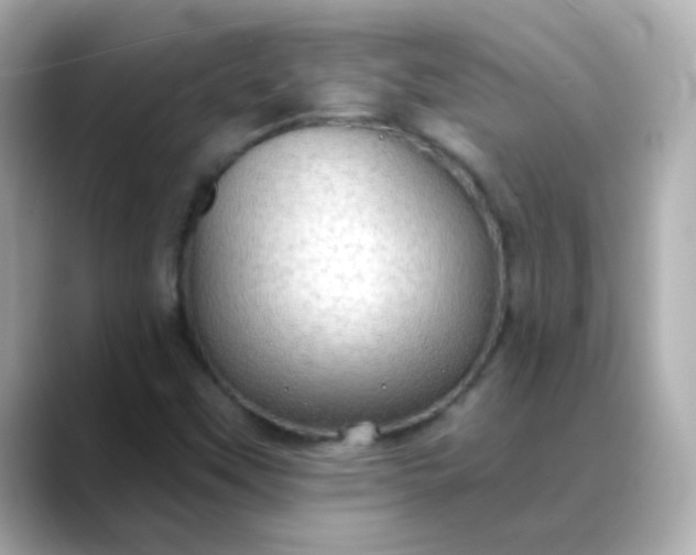 X0000088391451200706051109