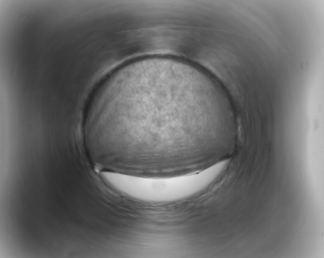 X0000088391452200706051109