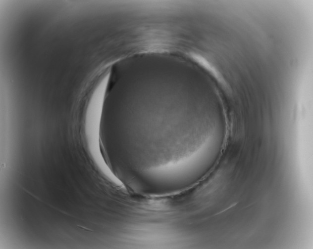 X0000088391453200706051109