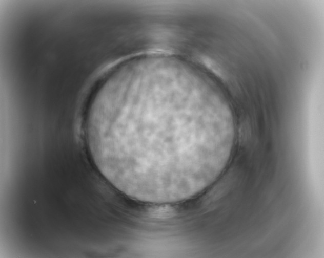 X0000088391454200706051109