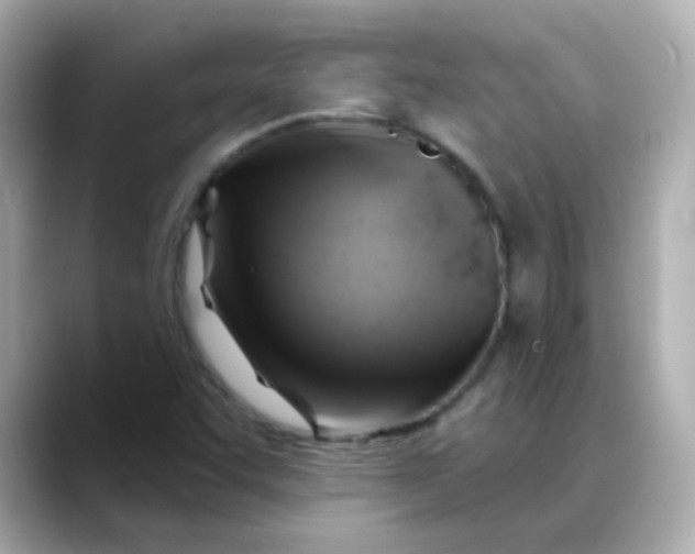 X0000088391455200706051109