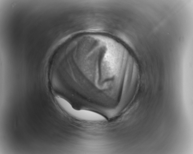 X0000088391456200706051109