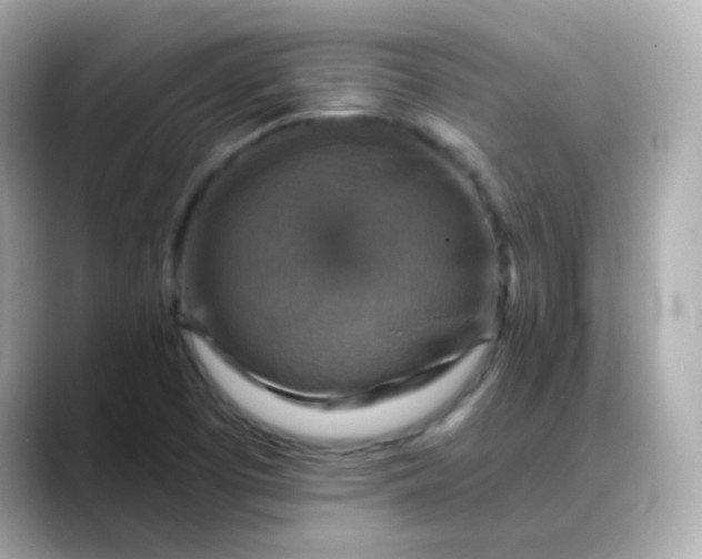 X0000088391457200706051109