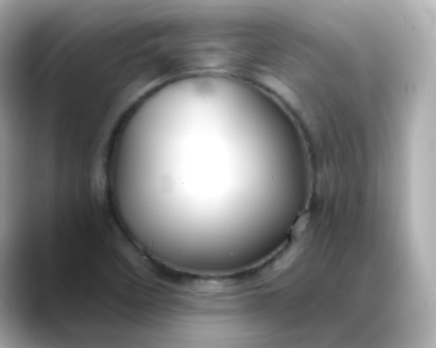 X0000088391458200706051109