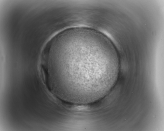 X0000088391460200706051109