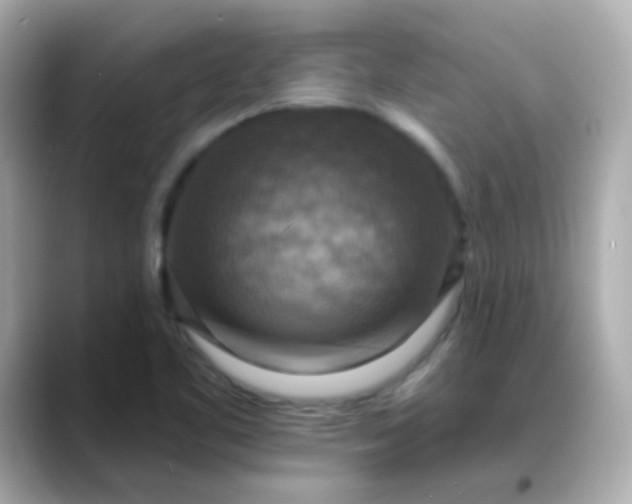 X0000088391461200706051109