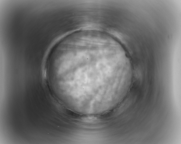 X0000088391462200706051109