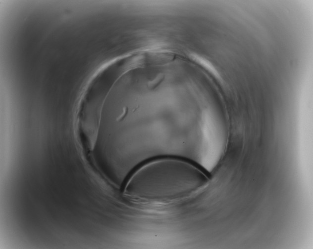 X0000088391463200706051109