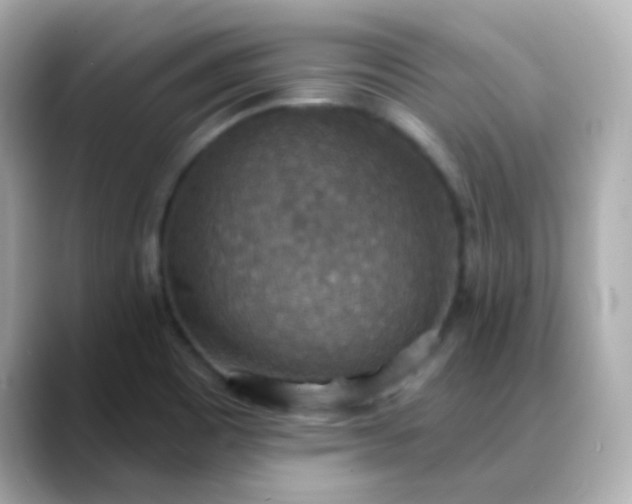 X0000088391465200706051109