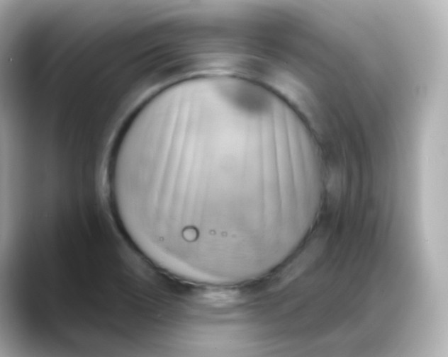 X0000088391466200706051109