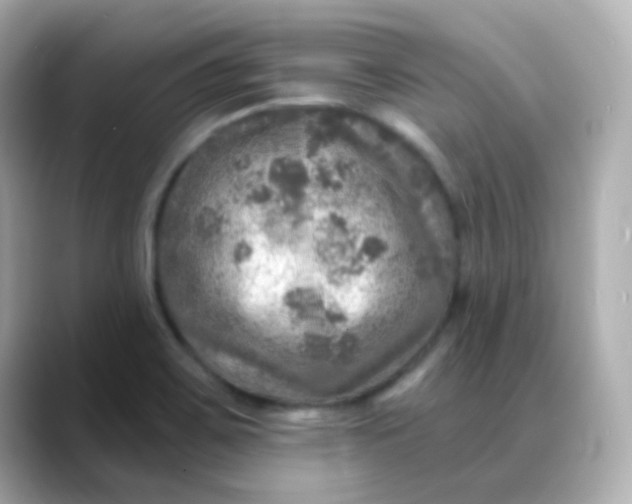 X0000088391467200706051109