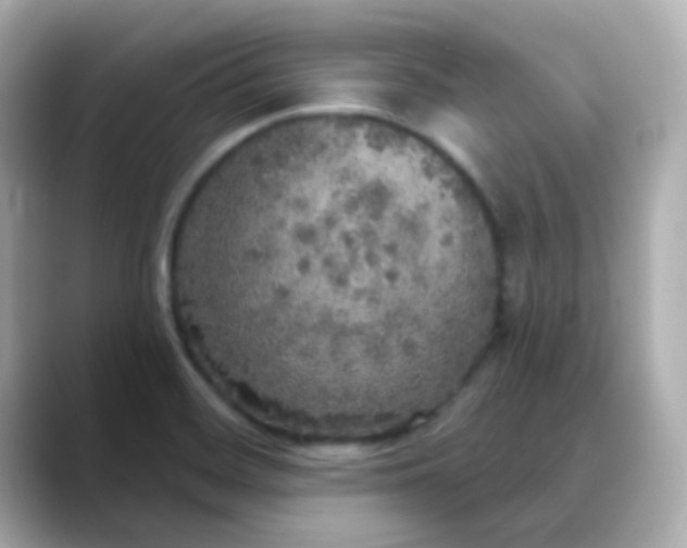 X0000088391468200706051109