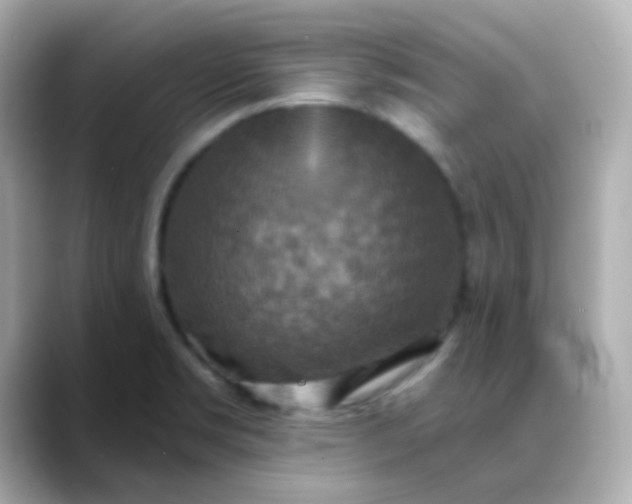 X0000088391469200706051109