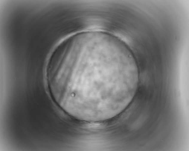 X0000088391470200706051109