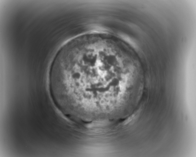 X0000088391471200706051109