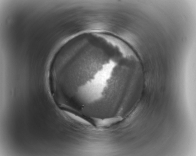 X0000088391472200706051109