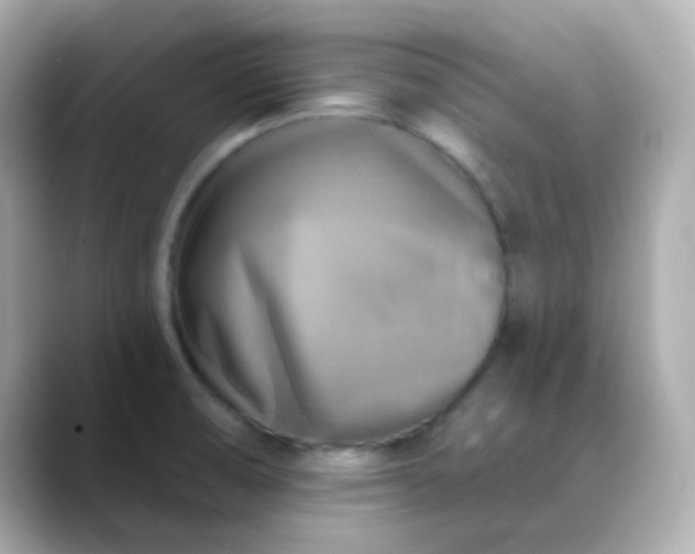 X0000088391474200706051108