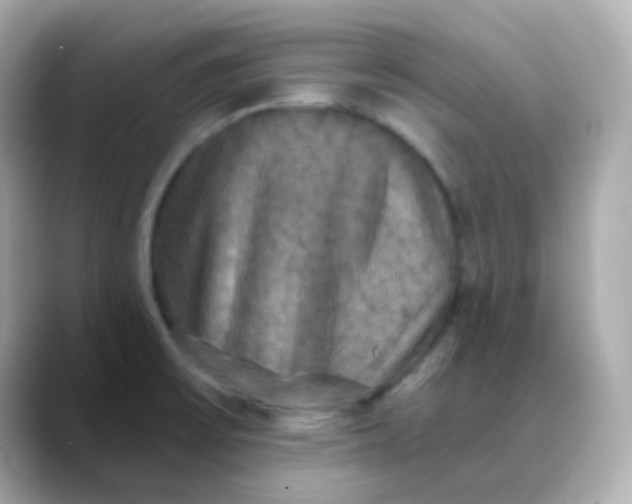 X0000088391475200706051108