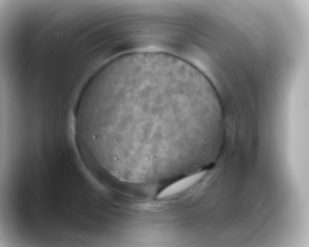 X0000088391476200706051108