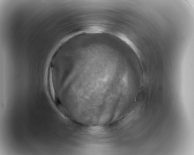 X0000088391477200706051108