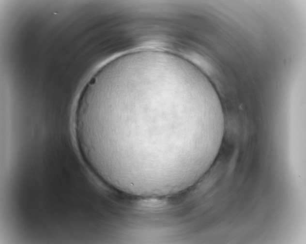 X0000088391478200706051108