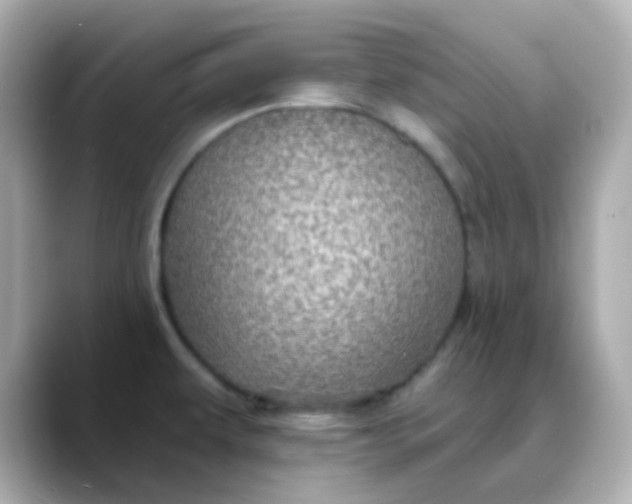 X0000088391479200706051108