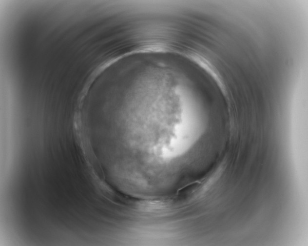 X0000088391481200706051108