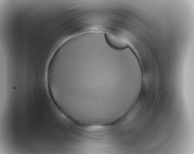 X0000088391482200706051108