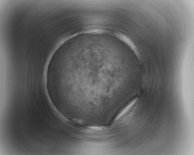 X0000088391483200706051108