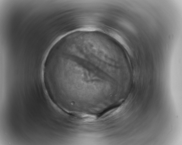 X0000088391484200706051108