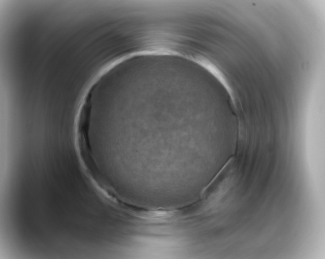 X0000088391485200706051108