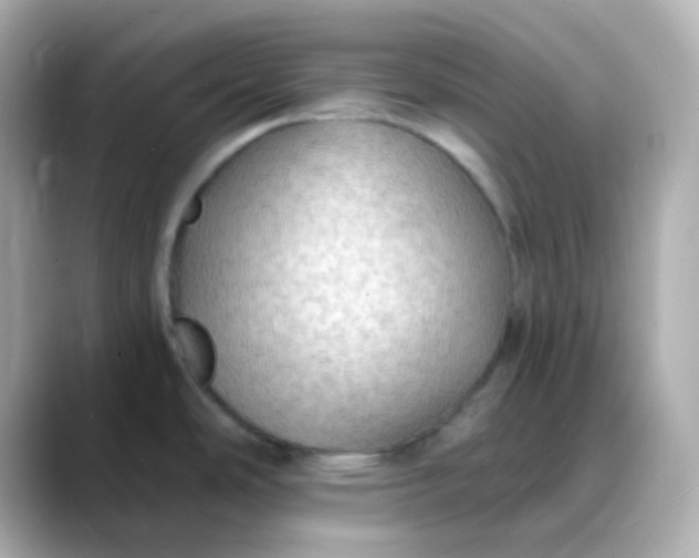 X0000088391486200706051108